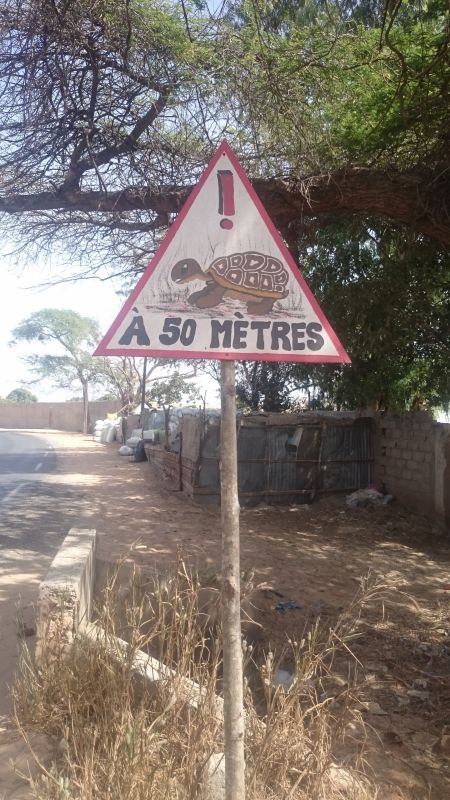 Viewing photos→2017→2017-12-01→167