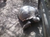 169.jpg - 2017:12:08 13:50:11