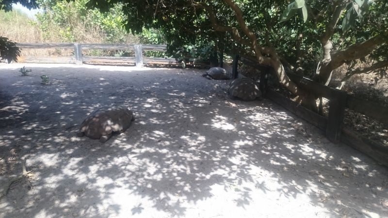 Viewing photos→2017→2017-12-01→171