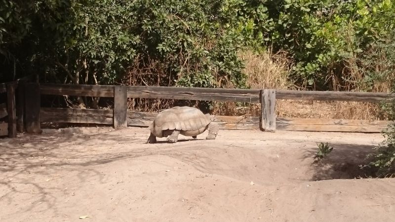 Viewing photos→2017→2017-12-01→173