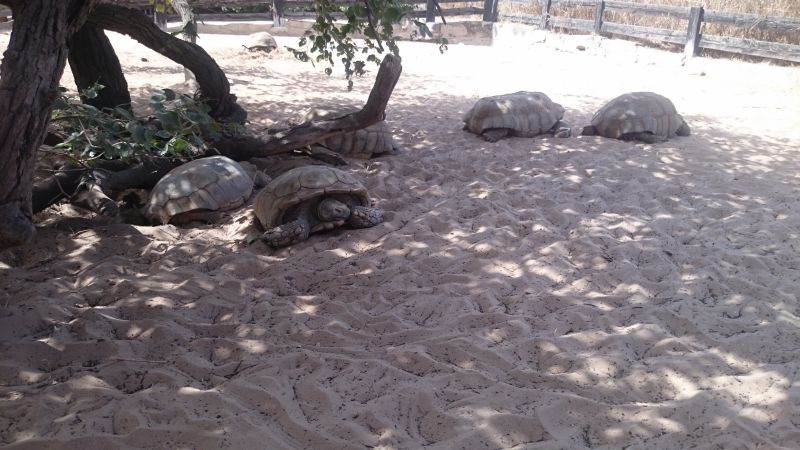 Viewing photos→2017→2017-12-01→174