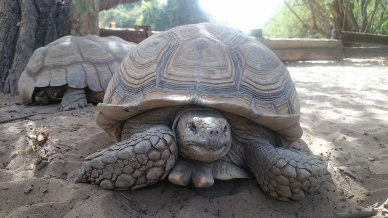 Viewing photos→2017→2017-12-01→183