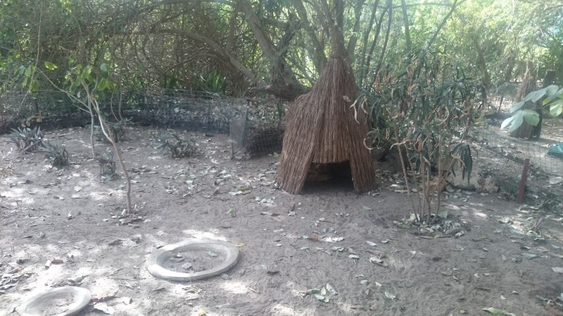 Viewing photos→2017→2017-12-01→185