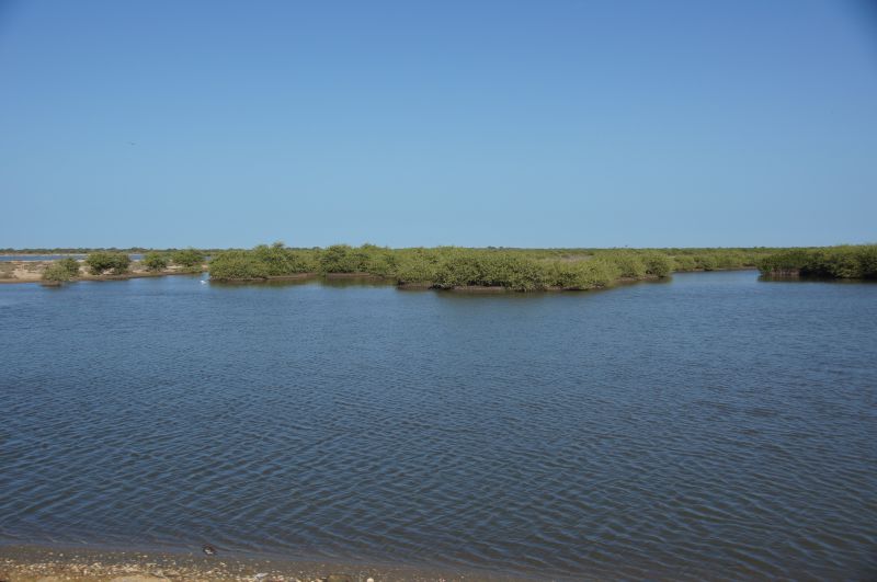 Viewing photos→2017→2017-12-04→01