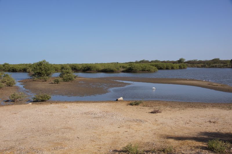 Viewing photos→2017→2017-12-04→05