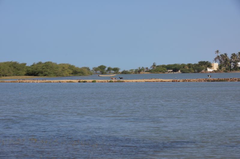 Viewing photos→2017→2017-12-04→20