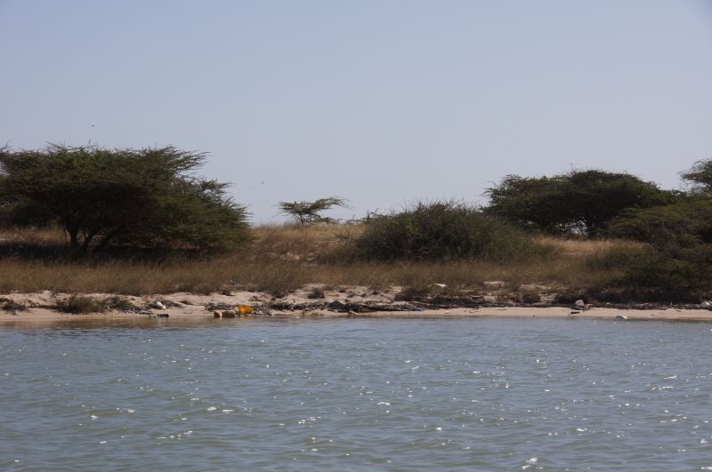 Viewing photos→2017→2017-12-04→31