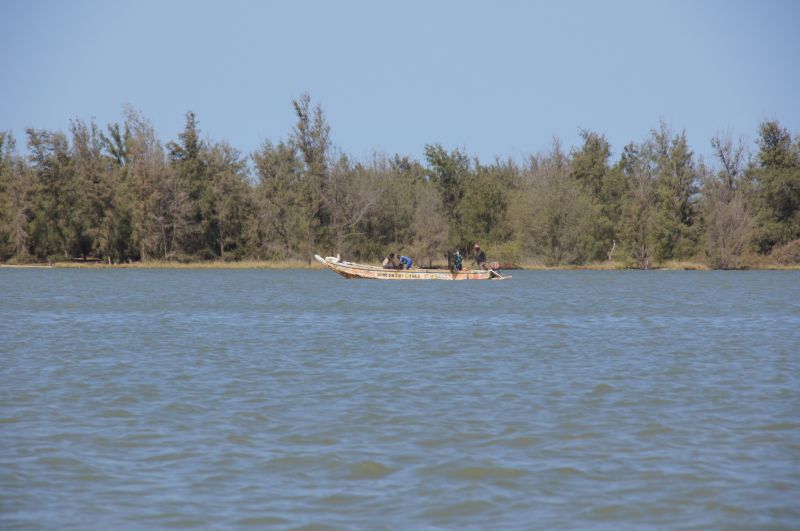 Viewing photos→2017→2017-12-04→36