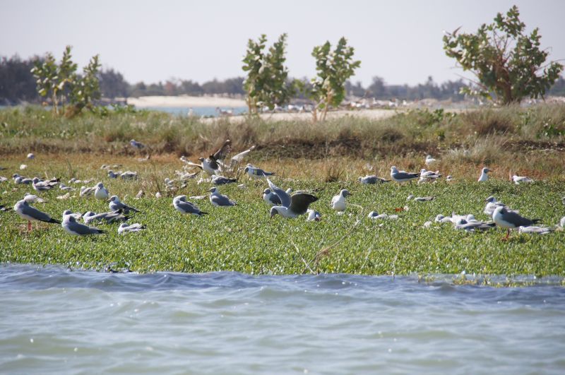 Viewing photos→2017→2017-12-04→38