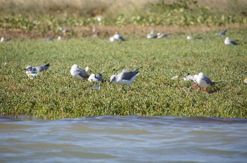 Viewing photos→2017→2017-12-04→40