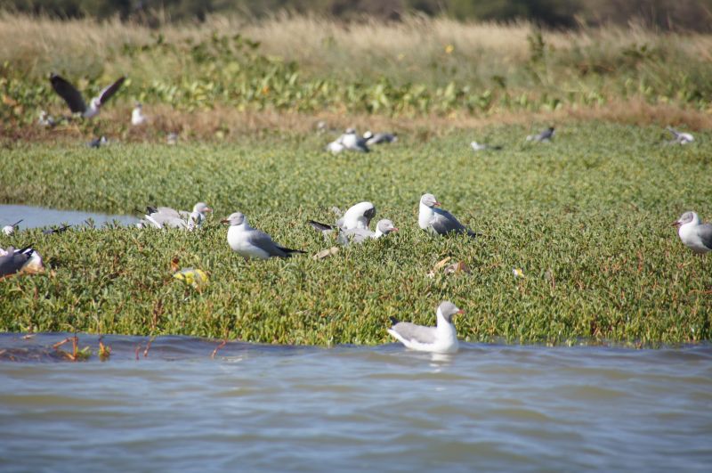 Viewing photos→2017→2017-12-04→41