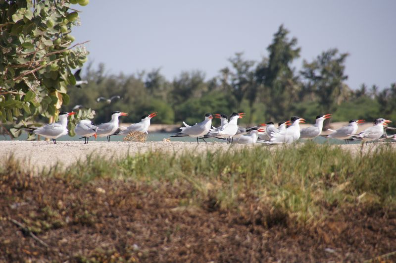 Viewing photos→2017→2017-12-04→46