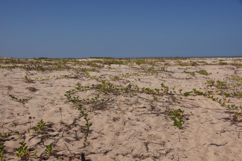 Viewing photos→2017→2017-12-04→55