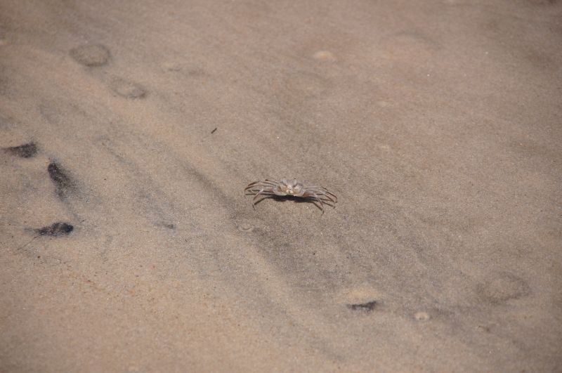 Viewing photos→2017→2017-12-04→62