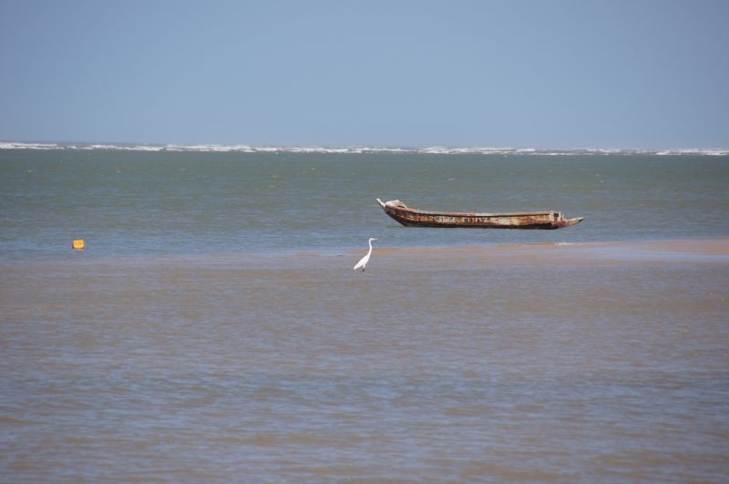 Viewing photos→2017→2017-12-04→81