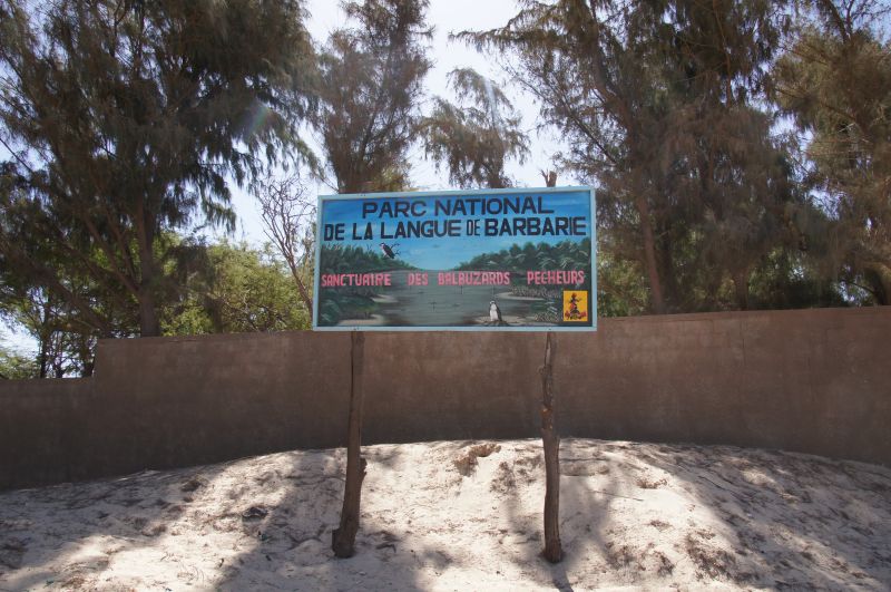 Viewing photos→2017→2017-12-04→82