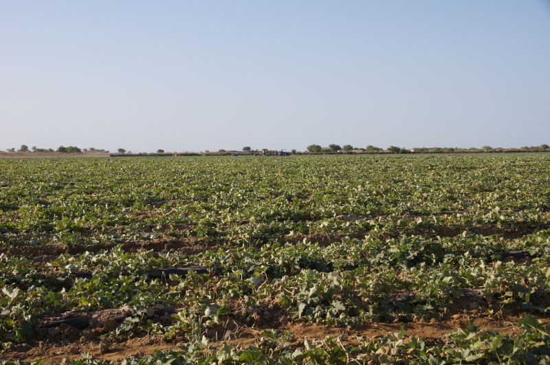 Viewing photos→2017→2017-12-05→002