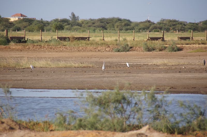 Viewing photos→2017→2017-12-05→009