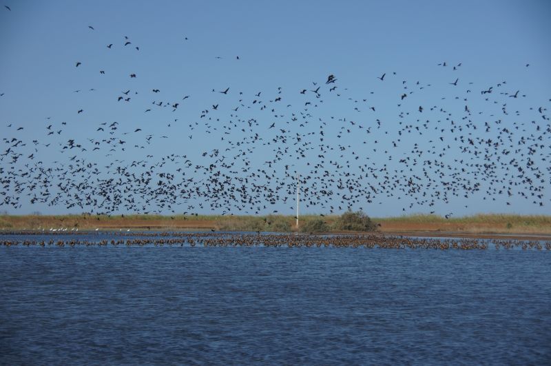 Viewing photos→2017→2017-12-05→015