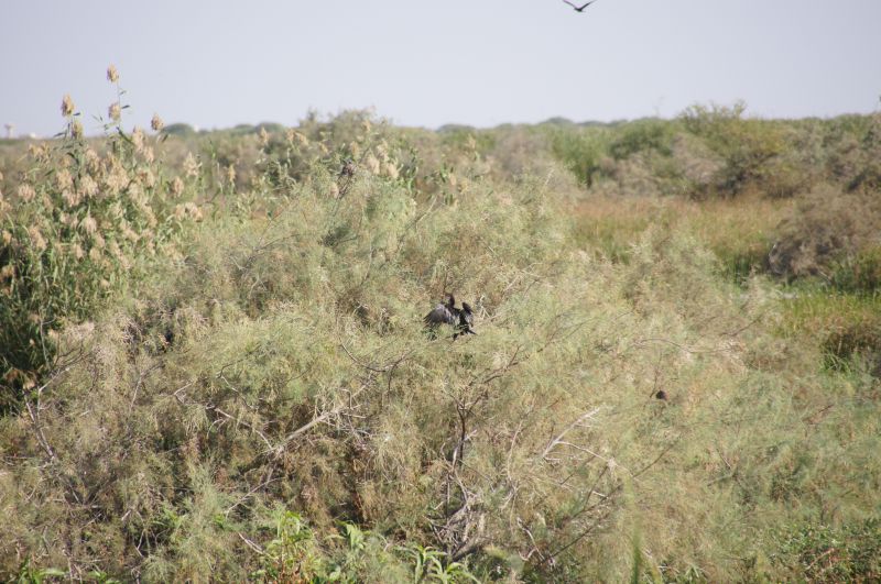 Viewing photos→2017→2017-12-05→032