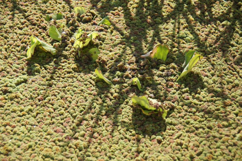 Viewing photos→2017→2017-12-05→036