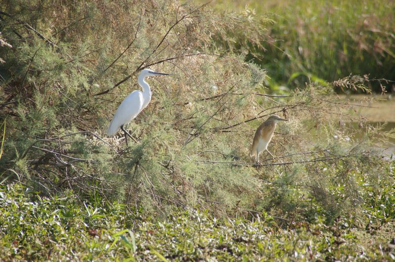 Viewing photos→2017→2017-12-05→049