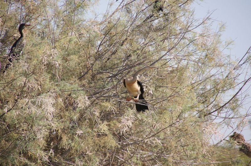 Viewing photos→2017→2017-12-05→051