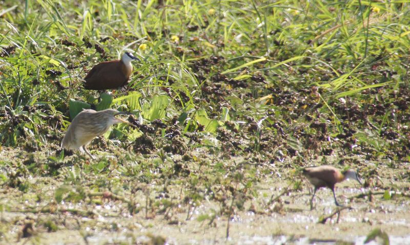 Viewing photos→2017→2017-12-05→058