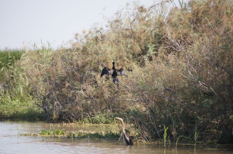 Viewing photos→2017→2017-12-05→061