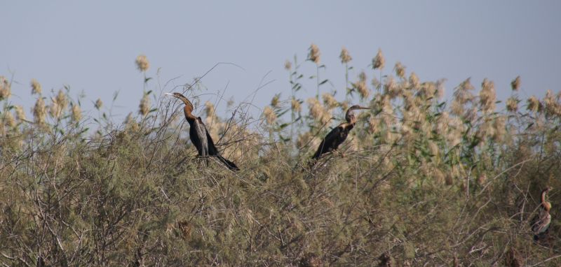 Viewing photos→2017→2017-12-05→066