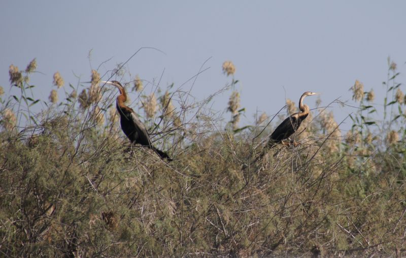 Viewing photos→2017→2017-12-05→067