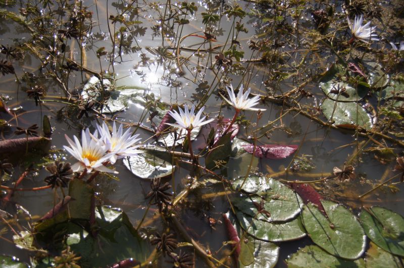 Viewing photos→2017→2017-12-05→071