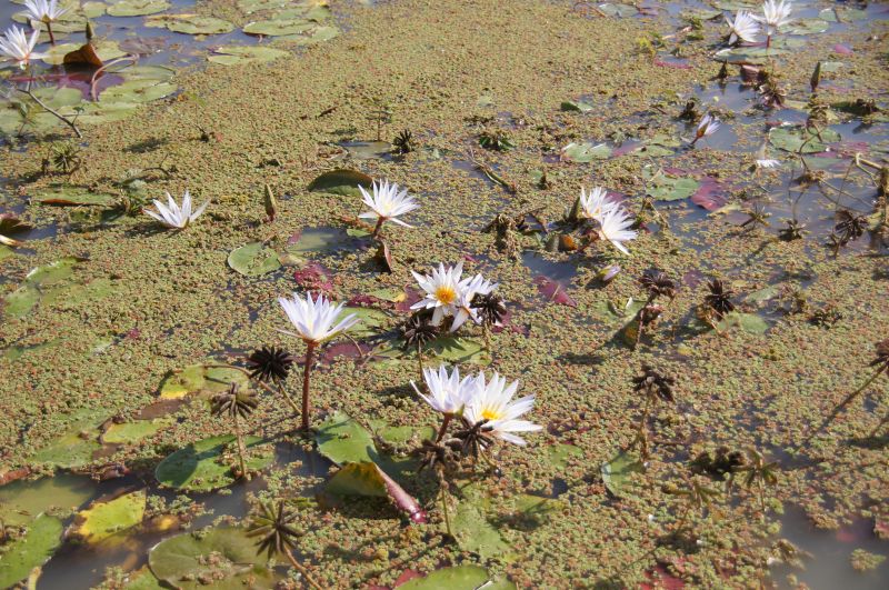 Viewing photos→2017→2017-12-05→072