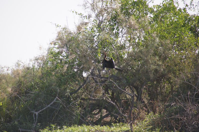 Viewing photos→2017→2017-12-05→077