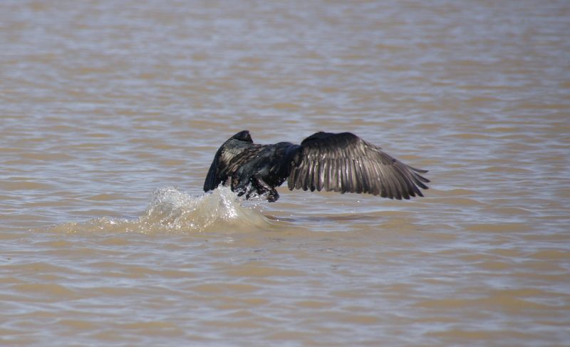 Viewing photos→2017→2017-12-05→084