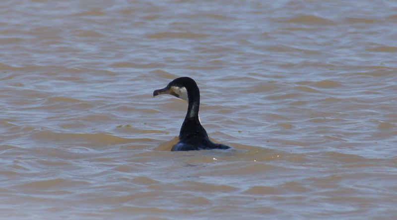 Viewing photos→2017→2017-12-05→089