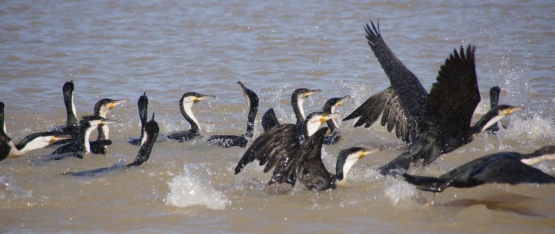 Viewing photos→2017→2017-12-05→091