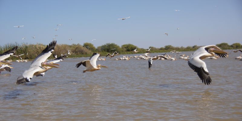 Viewing photos→2017→2017-12-05→100