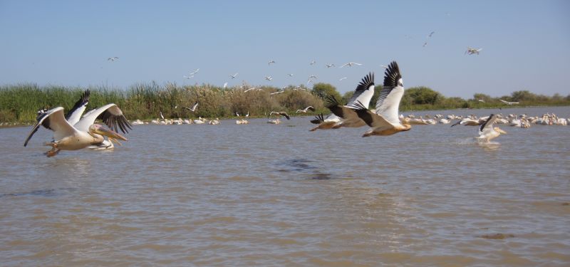 Viewing photos→2017→2017-12-05→102