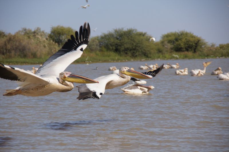 Viewing photos→2017→2017-12-05→108