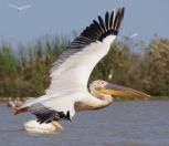 109.jpeg - 2017:12:05 10:36:01