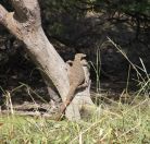 121.jpeg - 2017:12:05 10:40:30