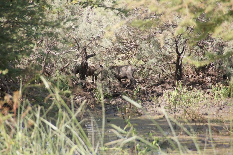 Viewing photos→2017→2017-12-05→124