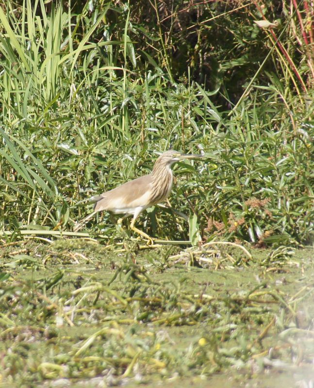 Viewing photos→2017→2017-12-05→127