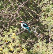 128.jpeg - 2017:12:05 10:41:51