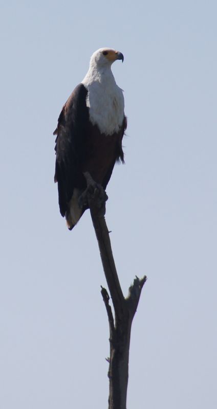 Viewing photos→2017→2017-12-05→132