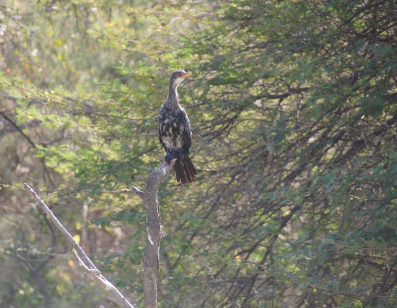 Viewing photos→2017→2017-12-05→134