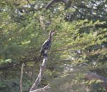 135.jpeg - 2017:12:05 10:46:35