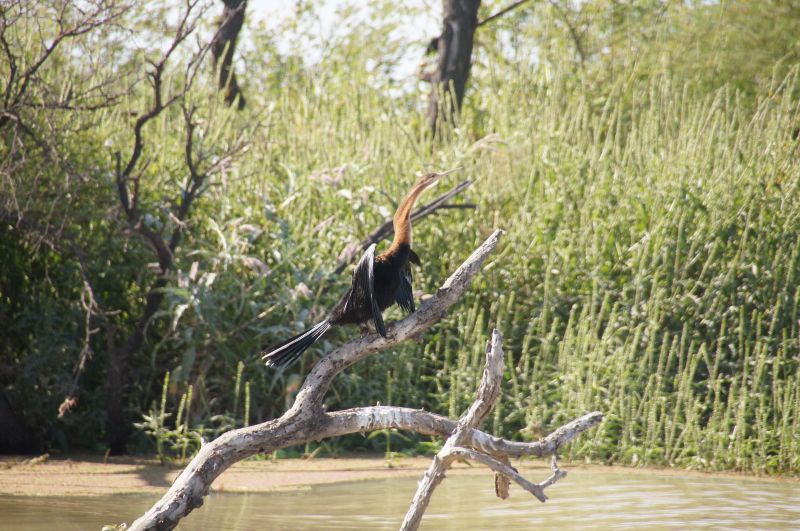 Viewing photos→2017→2017-12-05→136