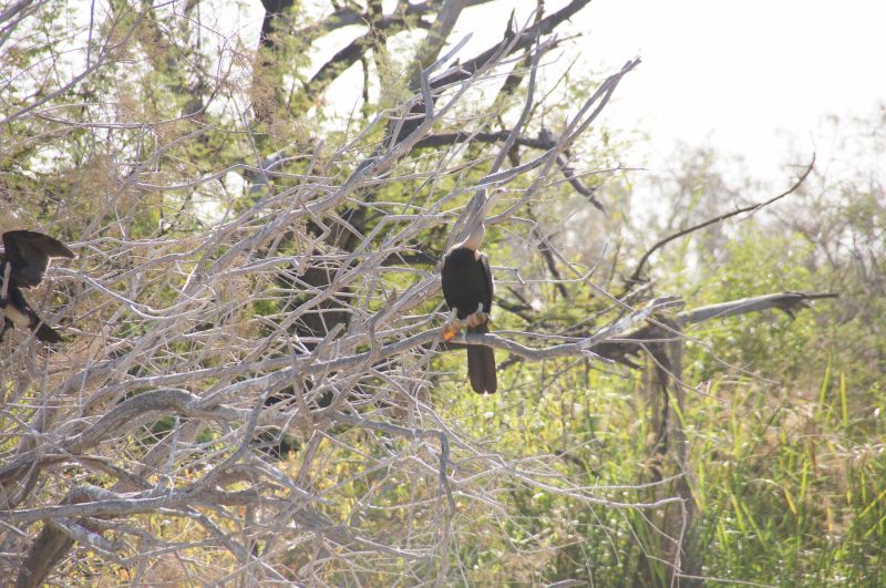 Viewing photos→2017→2017-12-05→140